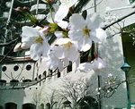 P1000337.JPG