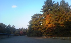111212_1546~01.jpg