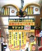 マジック.jpg