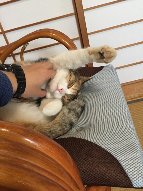 写真 2017-01-02 13 02 19.jpg