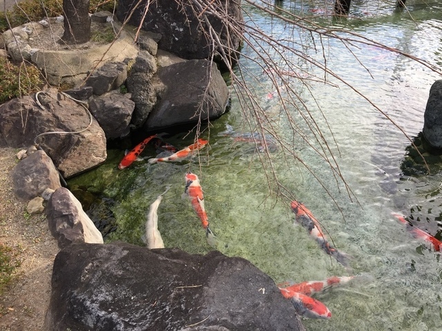 写真 2019-01-03 15 01 57.jpg