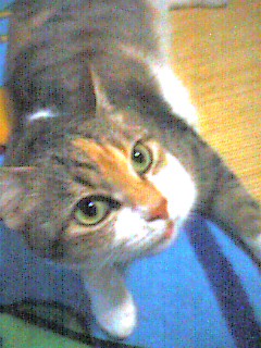 070809_1729~001.jpg
