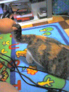 070809_1731~002.jpg