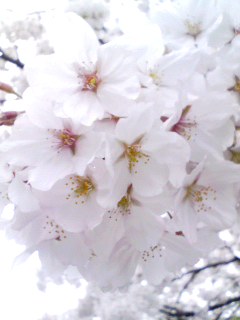 080402_1754~001.jpg