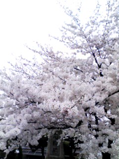 080402_1751~001.jpg