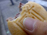 20081109.jpg