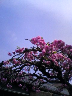 100404_1018~01.jpg