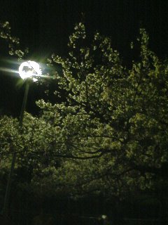 100403_2122~01.jpg