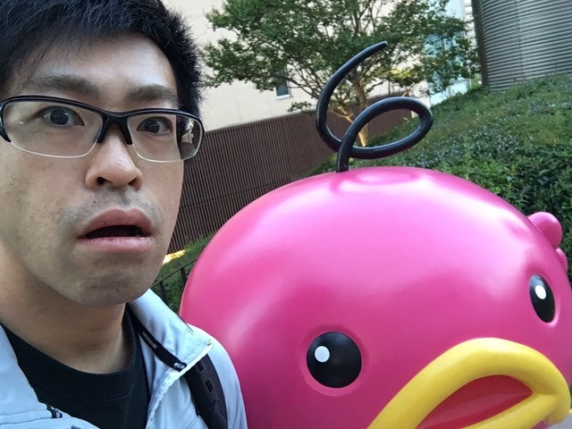 image-9b926.jpeg