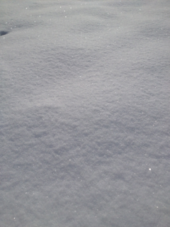 image-20130205161741.png