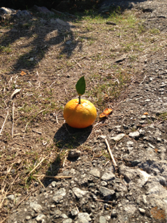 image-20141123182449.png